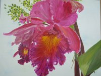 Blume